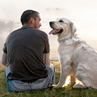 Ein Mann und ein Hund sitzen auf der Wiese und schauen sich an.