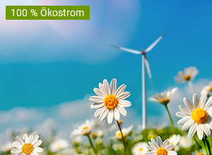 Margeritenblumen vor blauem Himmel mit Windrad im Hintergrund, Text '100 % Ökostrom'