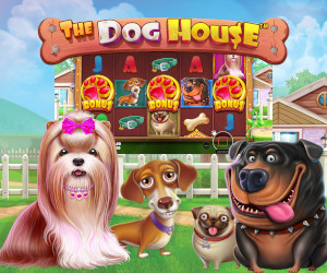 The Dog House Teaser Grafik